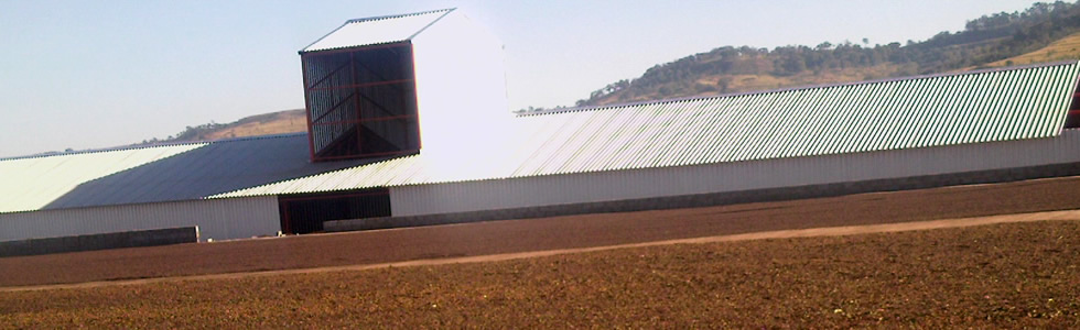 Fazenda Mataburrinhos - Galpão Secadora de Café - Patos de Minas - MG